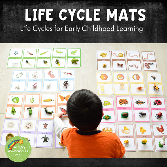 Early Childhood Life Cycle Mats