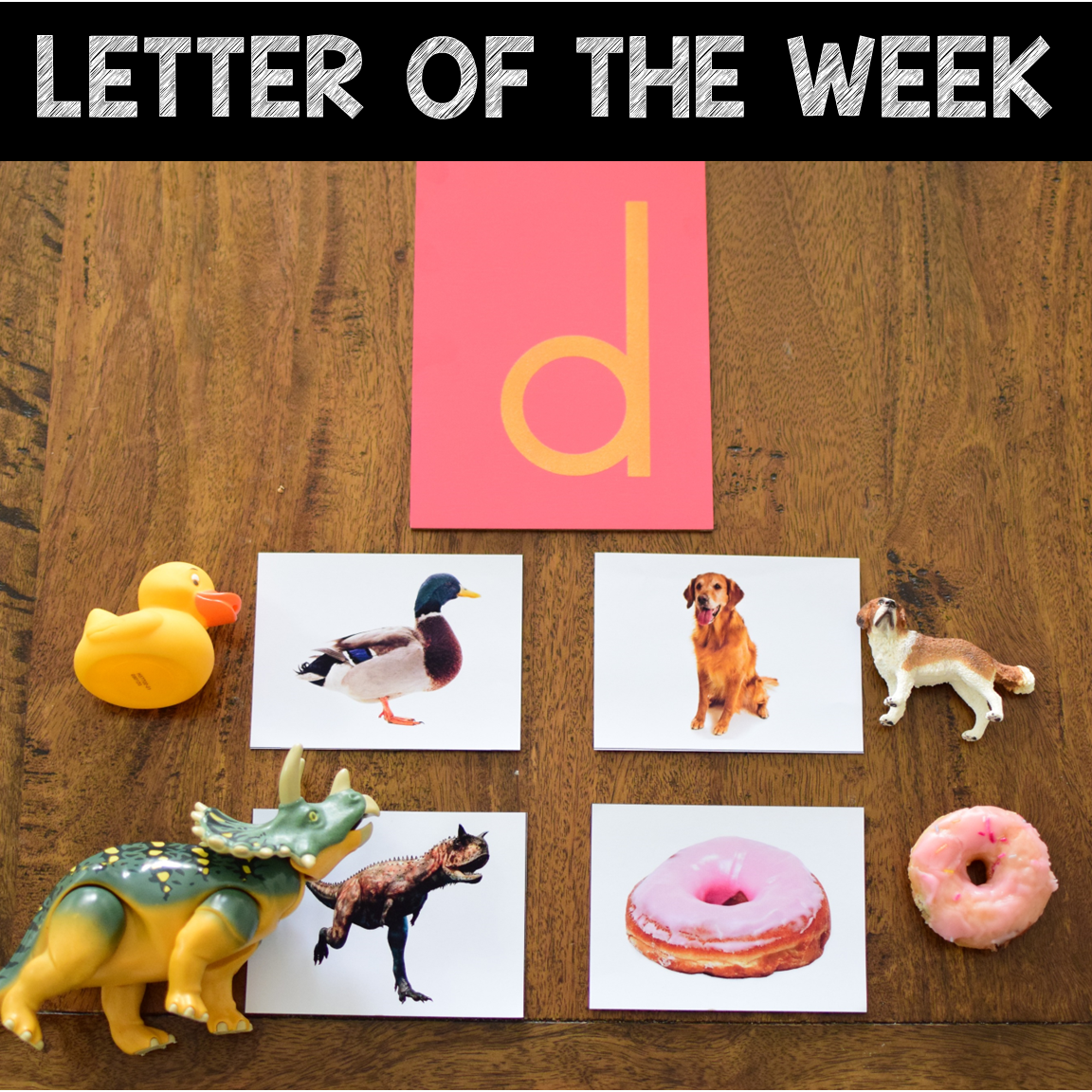 Letter D Curriculum - Letter of the Week
