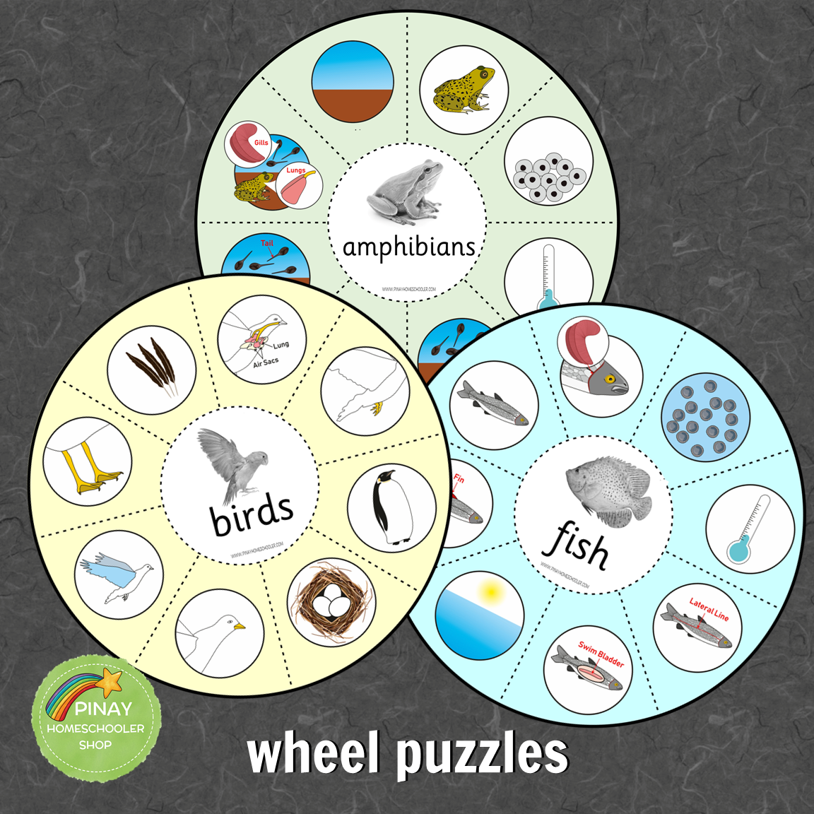 Montessori Vertebrate Characteristics Learning Pack