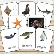 Montessori Ocean Toob 3 Part Cards [EDITABLE]