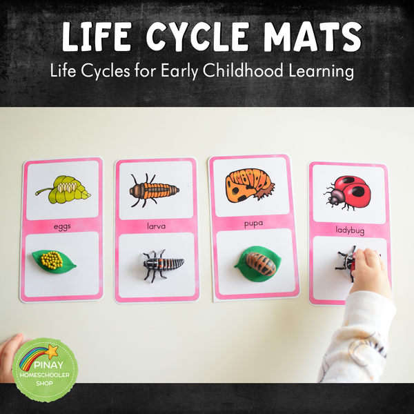 Early Childhood Life Cycle Mats