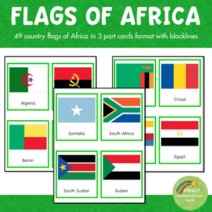 Africa Flags Montessori 3 Part Cards
