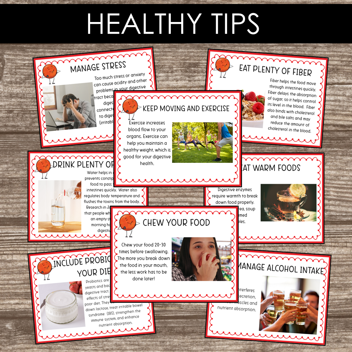 Montessori Inspired Digestive System Learning Packet