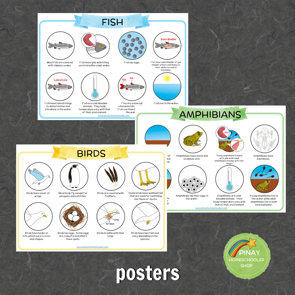 Montessori Vertebrate Characteristics Learning Pack