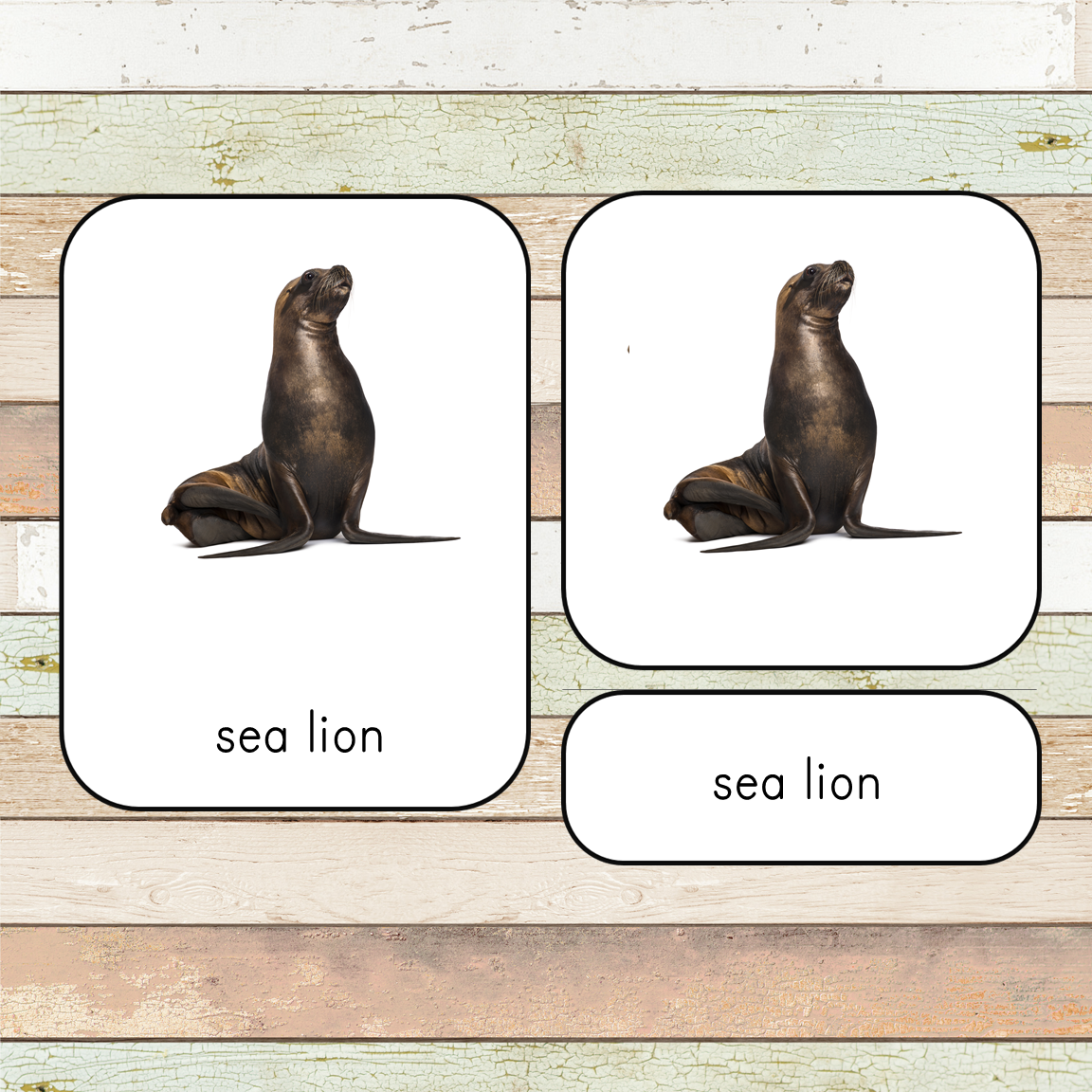 Montessori Ocean Toob 3 Part Cards [EDITABLE]