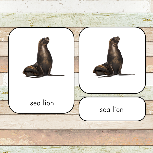 Montessori Ocean Toob 3 Part Cards [EDITABLE]