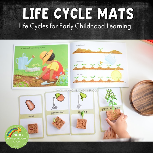 Early Childhood Life Cycle Mats