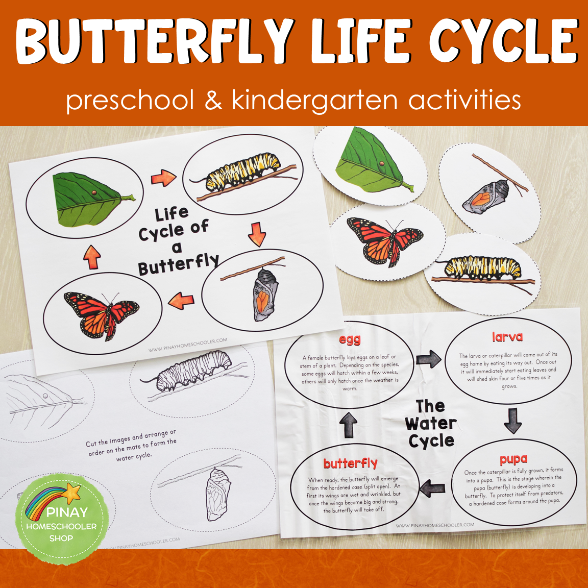 Butterfly Life Cycle Montessori Inspired