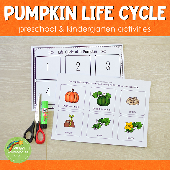 Pumpkin Life Cycle Set - Preschool & Kindergarten