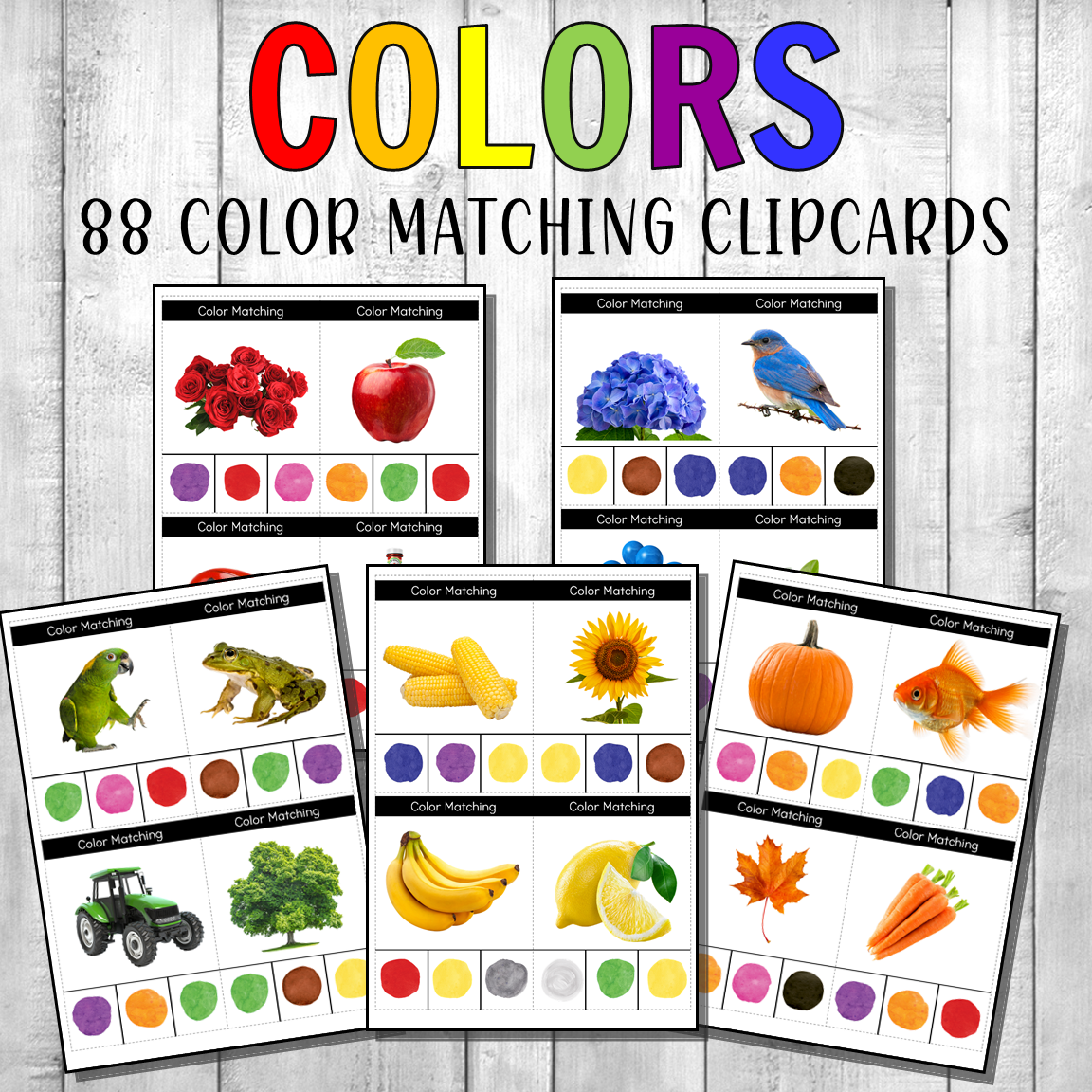 Montessori Color Matching Clipcards Real Photos