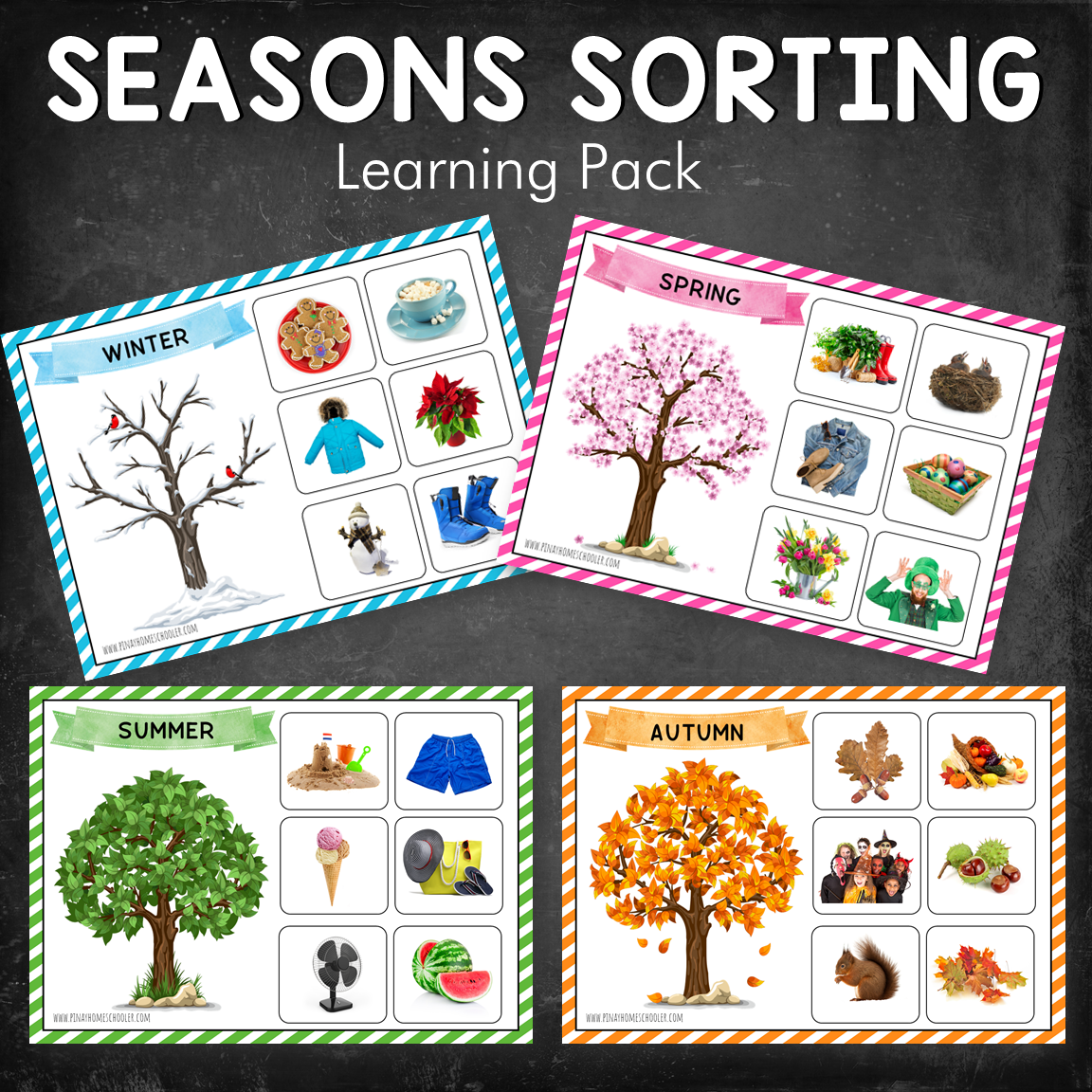 Four Seasons Sorting Activity (REAL IMAGES)