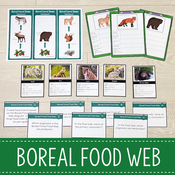 Food Chains and Food Webs Animal Habitat BUNDLE