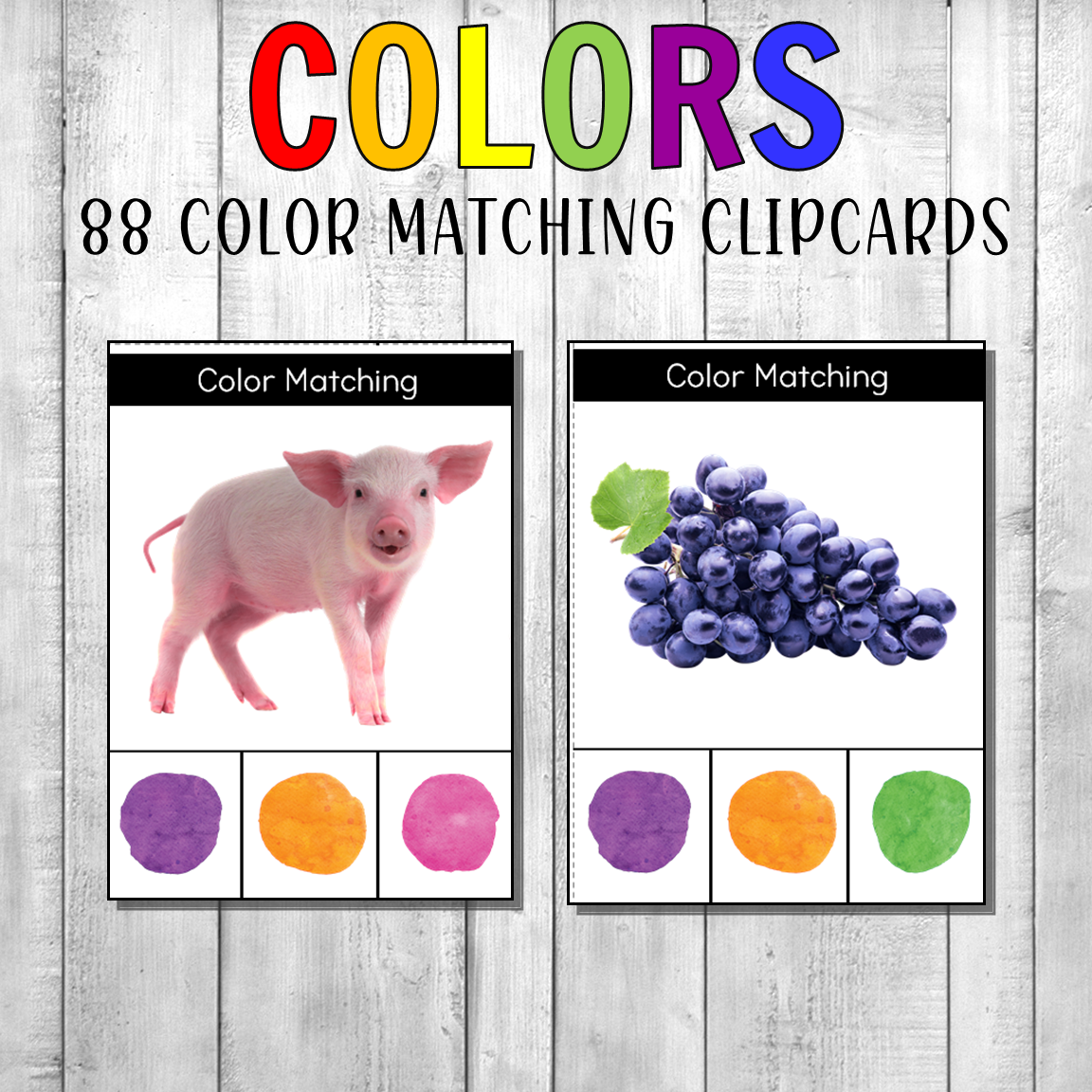 Montessori Color Matching Clipcards Real Photos