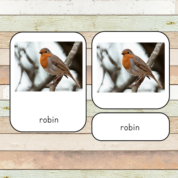 Montessori Backyard Birds 3 Part Cards