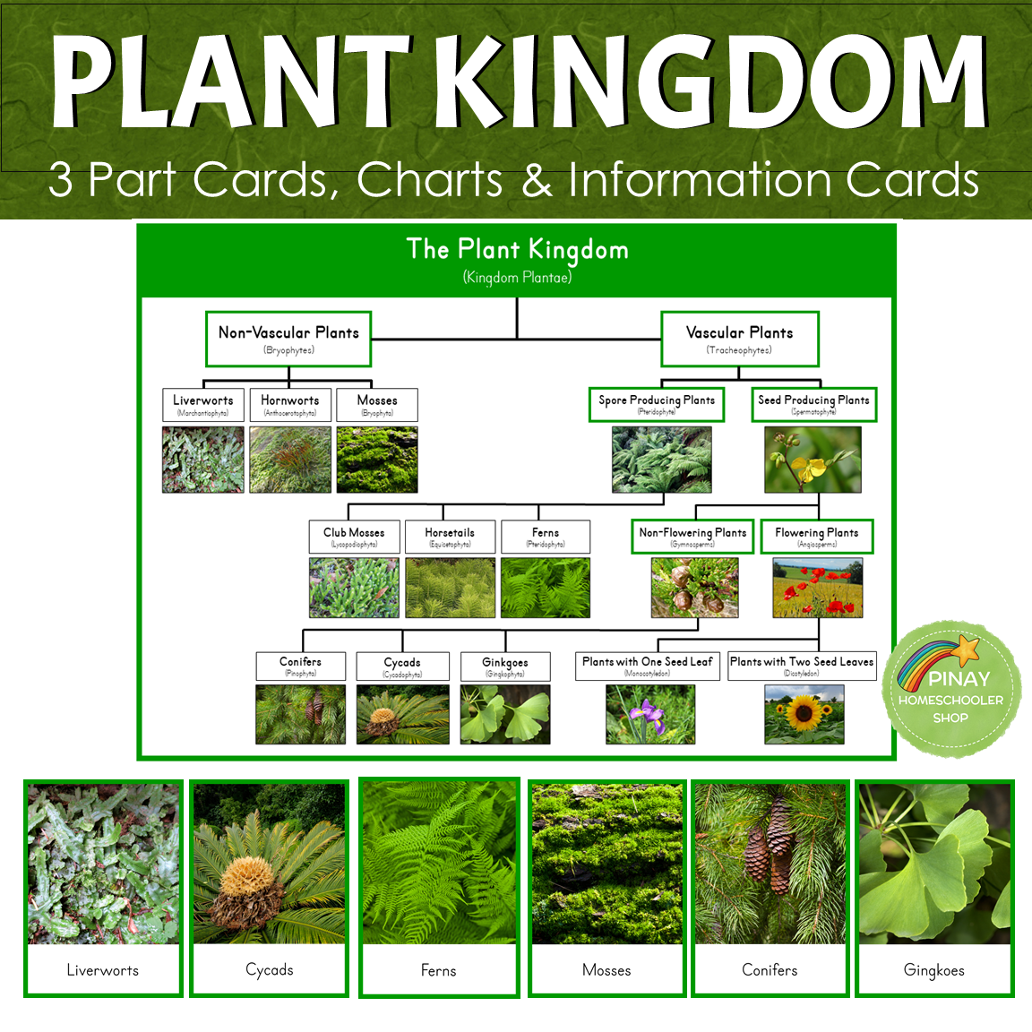 Montessori Plant Kingdom