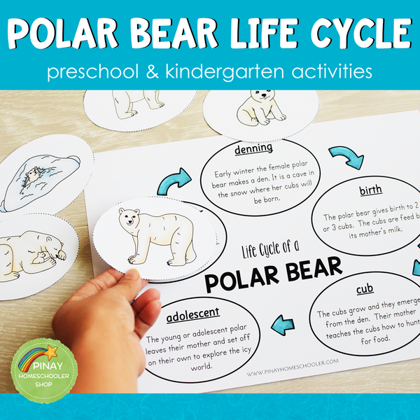 Polar Bear Life Cycle Activity Set: Preschool/ Kindergarten