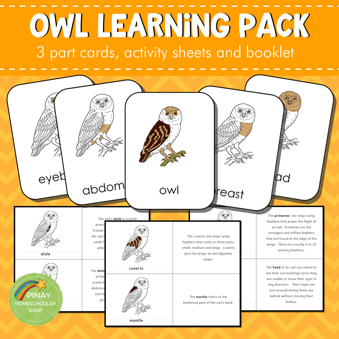 Montessori Parts of an Owl 3 Part Cards