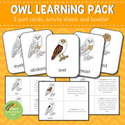 Montessori Parts of an Owl 3 Part Cards
