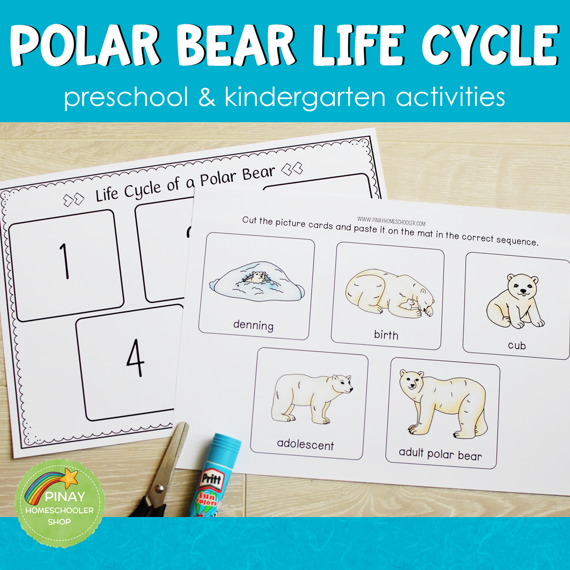 Polar Bear Life Cycle Montessori Inspired