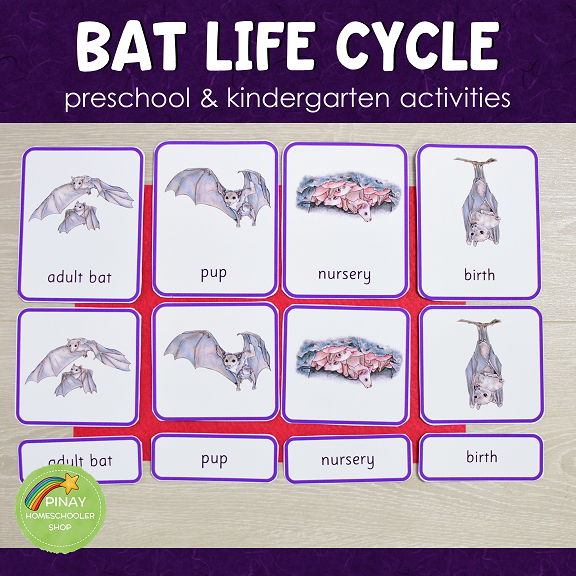 Bat Life Cycle Montessori Inspired
