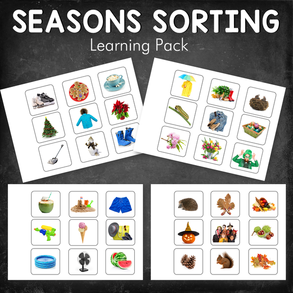 Four Seasons Sorting Activity (REAL IMAGES)