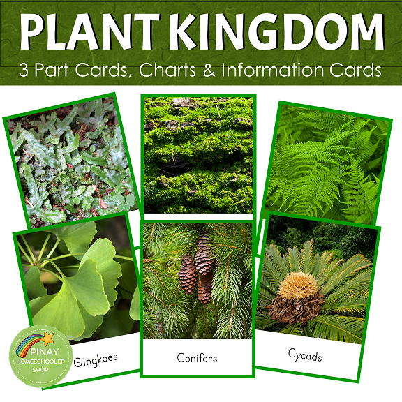 Montessori Plant Kingdom