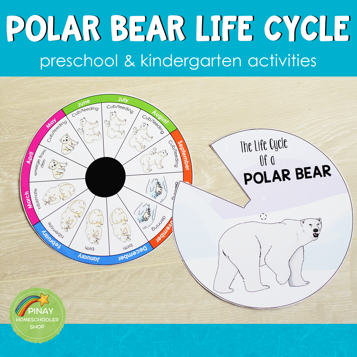 Polar Bear Life Cycle Montessori Inspired