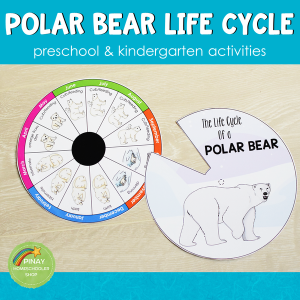 Polar Bear Life Cycle Activity Set: Preschool/ Kindergarten