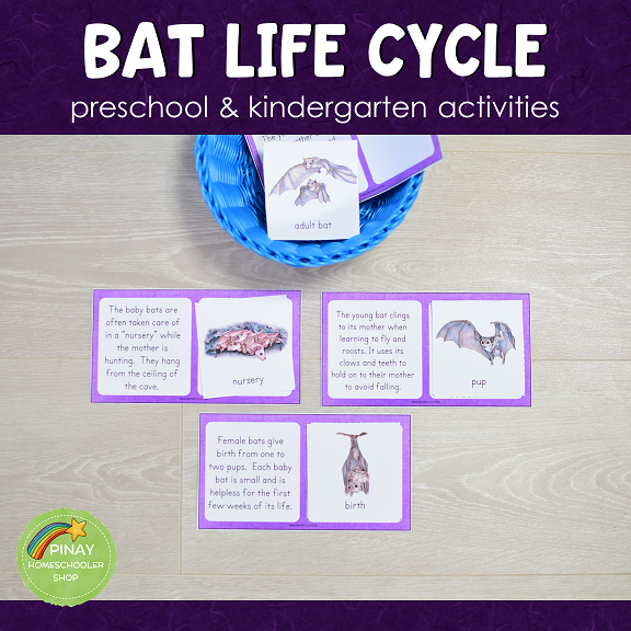 Bat Life Cycle Montessori Inspired