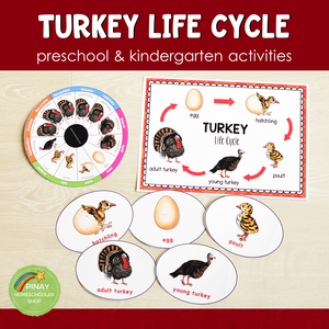 Turkey Life Cycle Activity Set