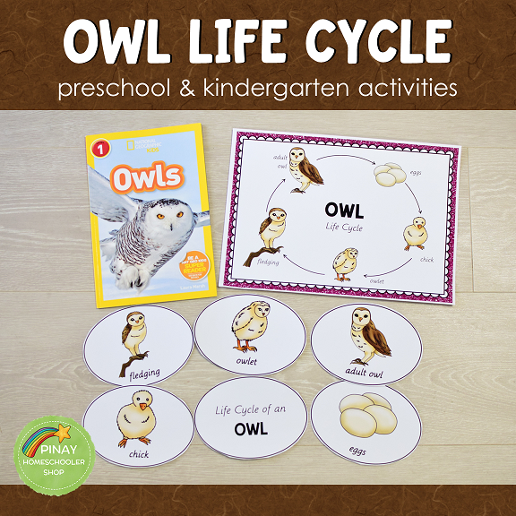 Owl Life Cycle Set - Preschool & Kindergarten