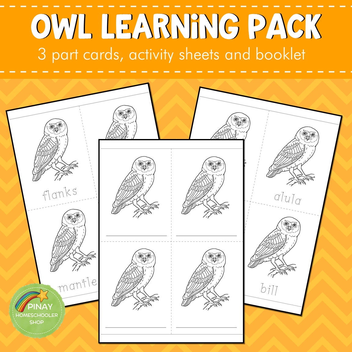 Montessori Parts of an Owl 3 Part Cards