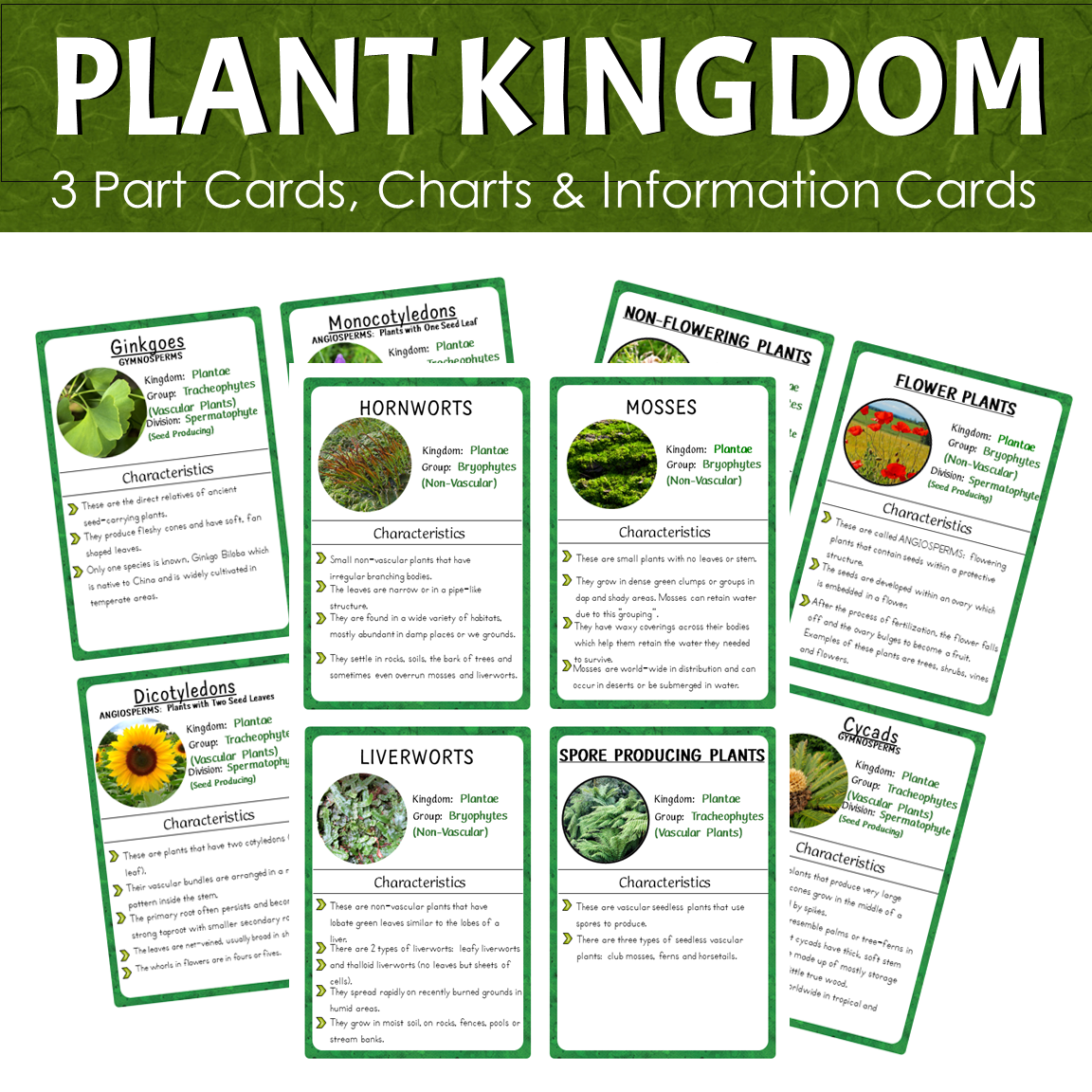 Montessori Plant Kingdom