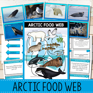 Arctic Biome Food Web and Food Chains Learning Pack