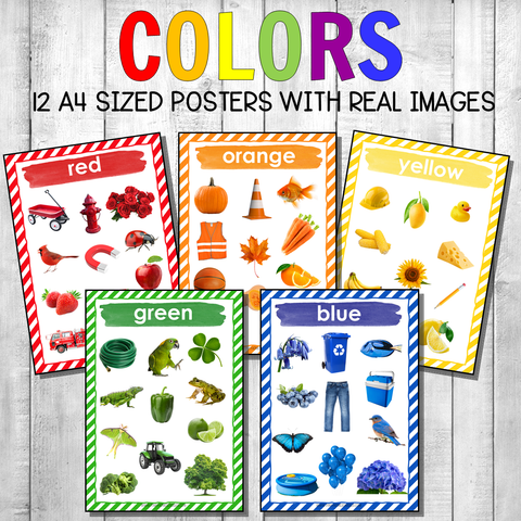 Montessori Color Posters Real Photos Version 1