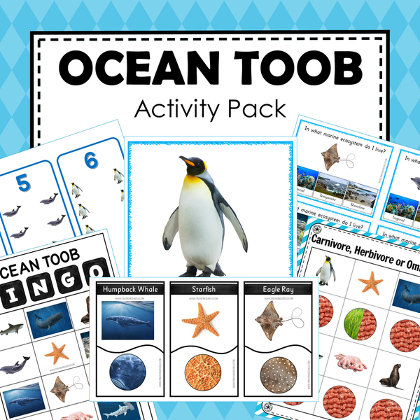 Safari Toob Ocean Preschool Kindergarten Activity Pack