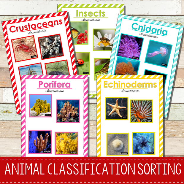 Animal Classification Sorting Activity - Animal Kingdom – Pinay ...
