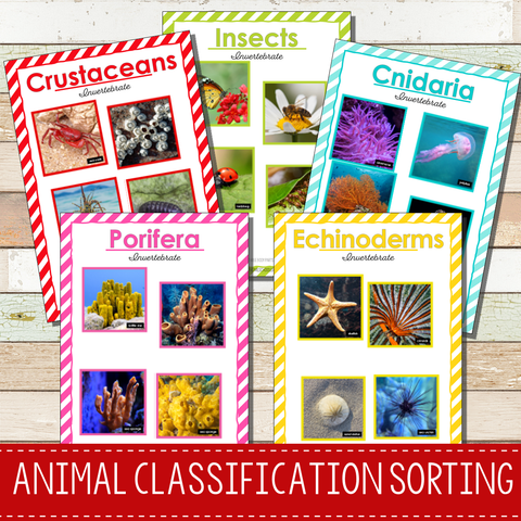 Animal Classification Sorting Activity - Animal Kingdom