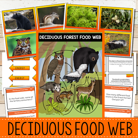 Deciduous Forest Biome Food Web and Food Chains Learning Pack