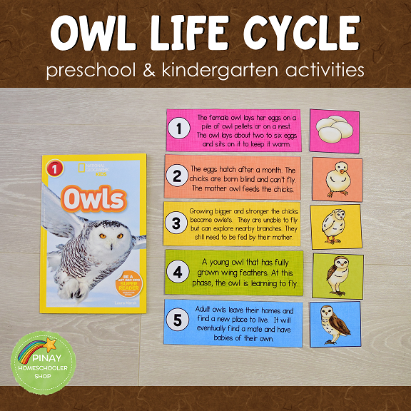 Owl Life Cycle Montessori Inspired