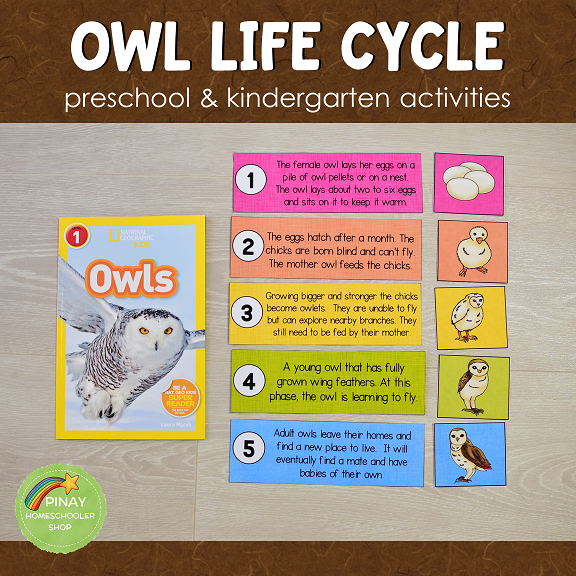 Owl Life Cycle Set - Preschool & Kindergarten