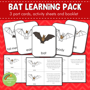 Montessori Parts of a Bat 3 Part Cards