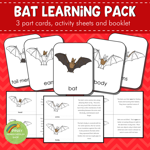 Montessori Parts of a Bat 3 Part Cards
