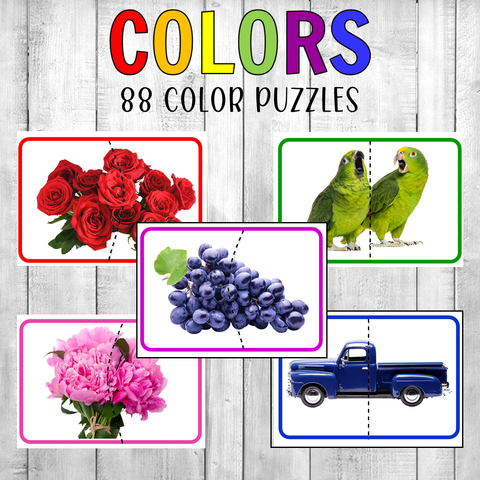 [1FALL] Montessori Color Matching Puzzles Real Photos
