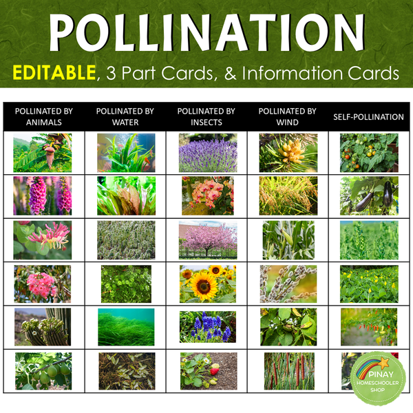 Pollination Agents (EDITABLE)