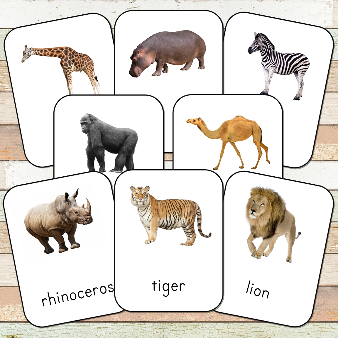 Montessori Wild Animals Toob 3 Part Cards