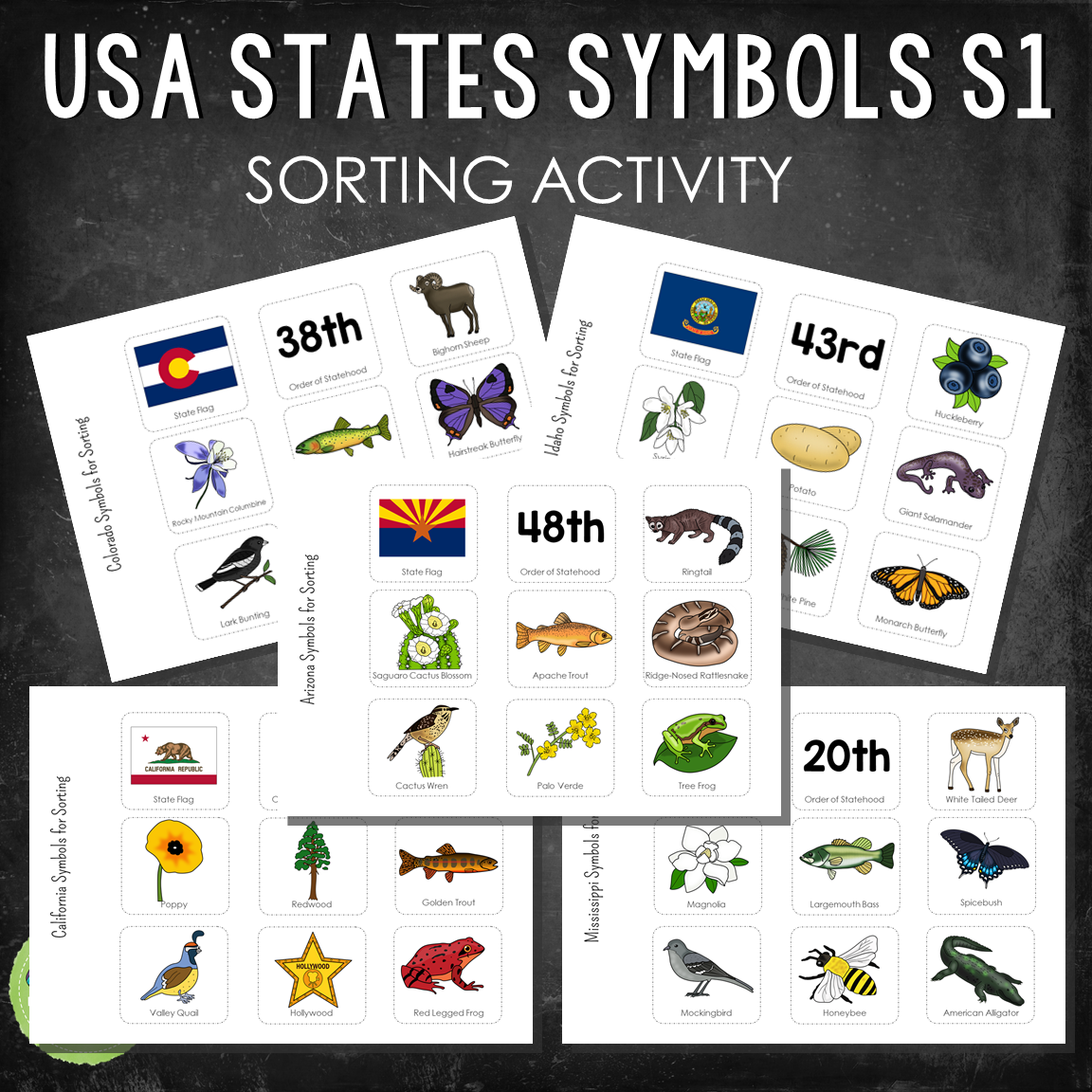 USA State Symbols Sorting Activity Set 1