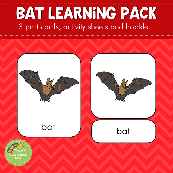 Montessori Parts of a Bat 3 Part Cards