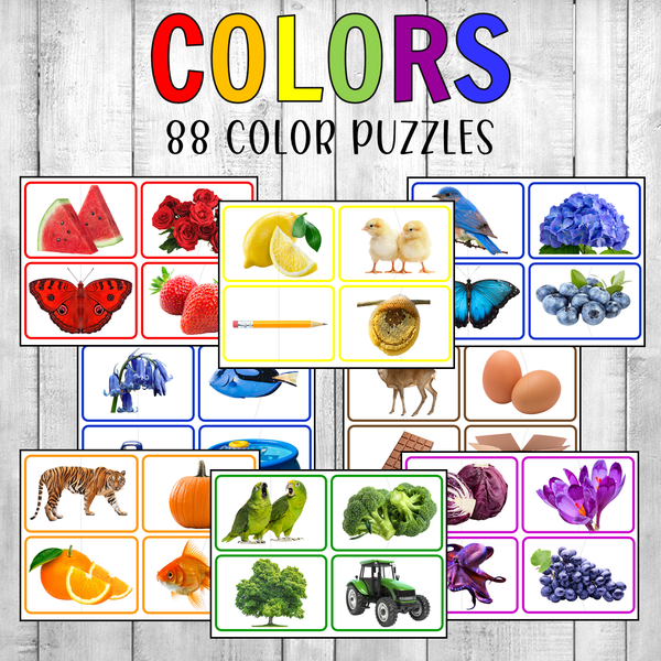 Montessori Color Matching Puzzles Real Photos