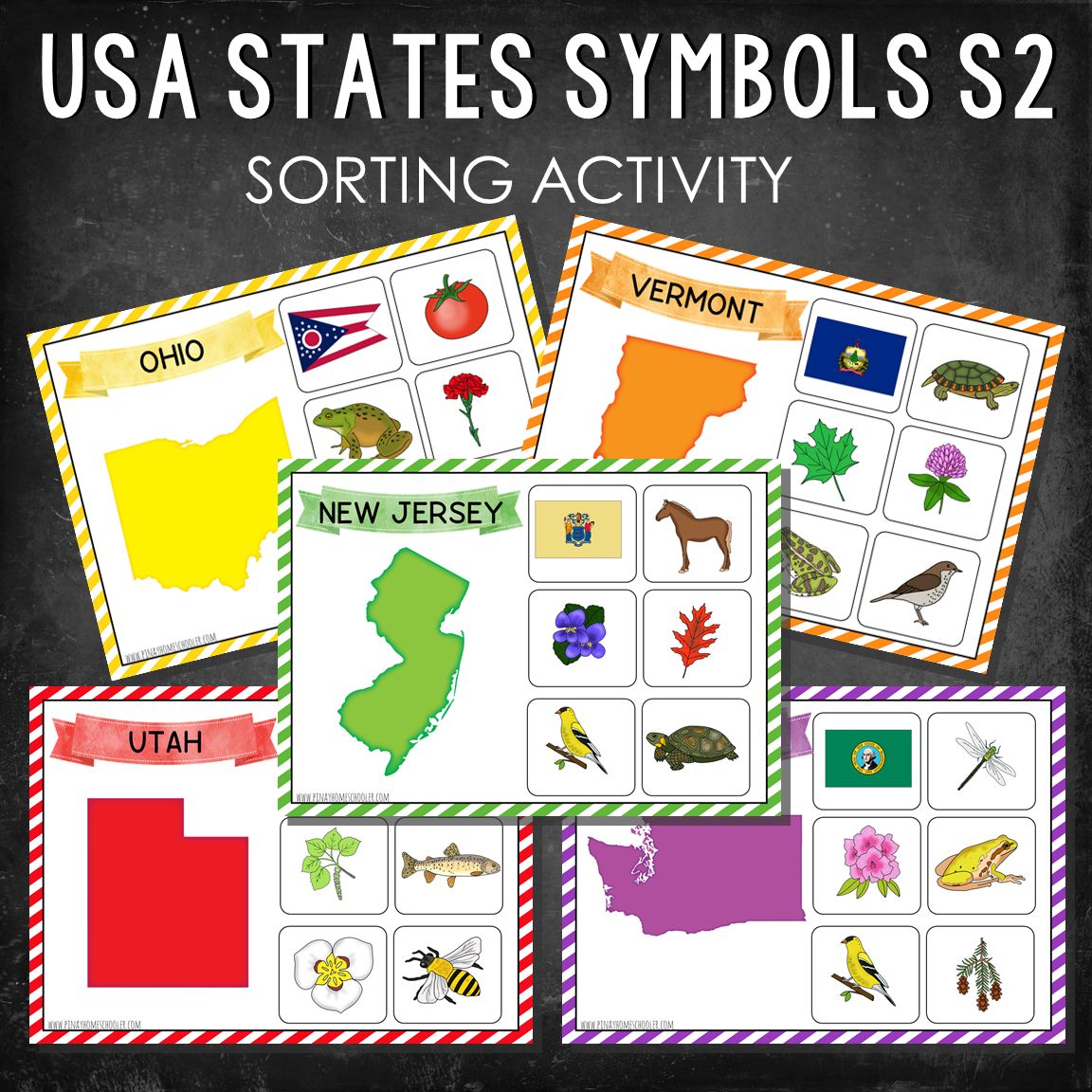 USA State Symbols Sorting Activity Set 2